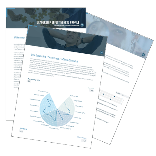 Leadership Effectiveness Profile: Vorschau des persönlichen Berichts